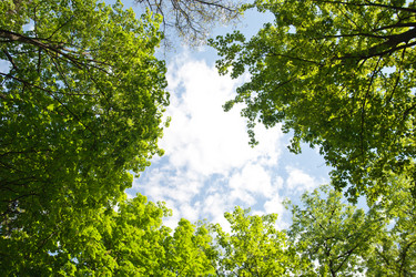 Similar image 8309304