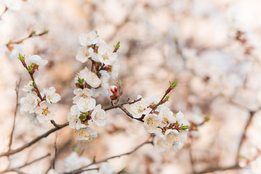 Similar image 8309305