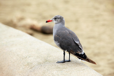 Similar image 8309313