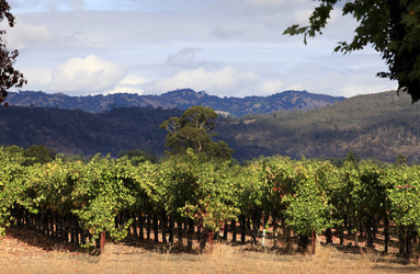 Similar image 8309315