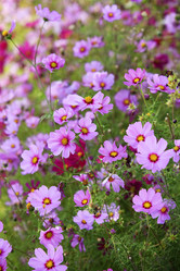 Similar image 8309316