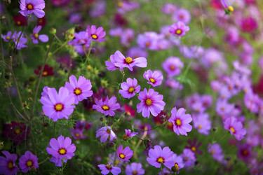 Similar image 8309317