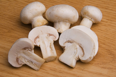 Similar image 8309328