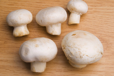 Similar image 8309329