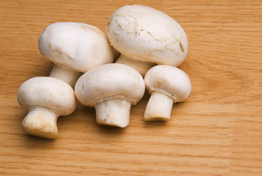 Similar image 8309330