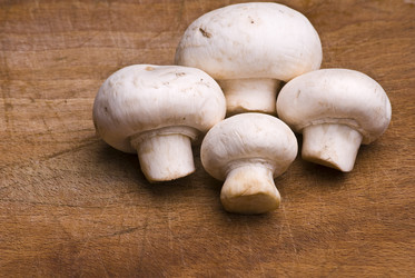 Similar image 8309358