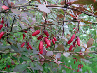 Similar image 8309387