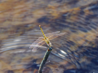 Similar image 8309411