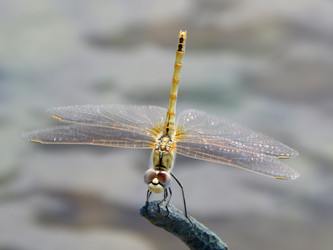 Similar image 8309412