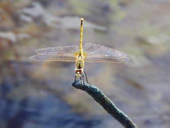 Similar image 8309413