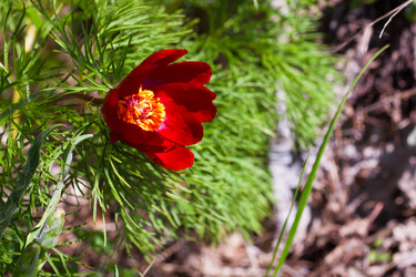 Similar image 8309427