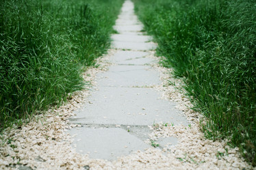 Similar image 8309429