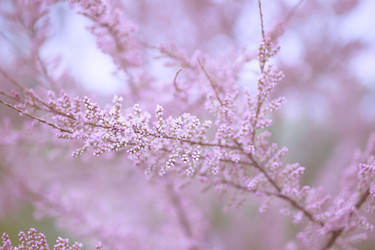 Similar image 8309430