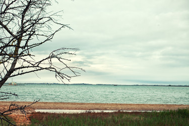 Similar image 8309431