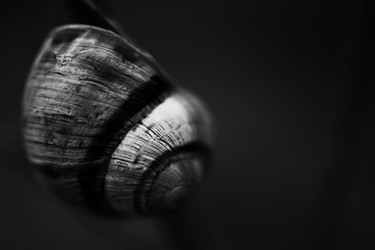 Similar image 8309432