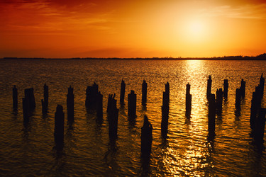 Similar image 8309437