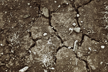 Similar image 8309438