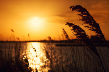 Similar image 8309439