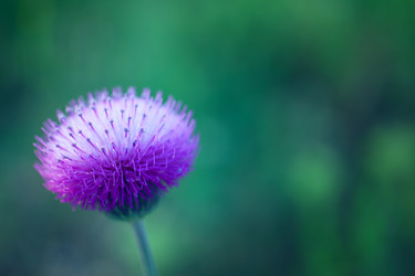 Similar image 8309440