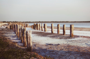 Similar image 8309441