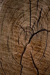 Similar image 8309443