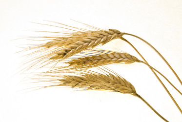 Similar image 8309445