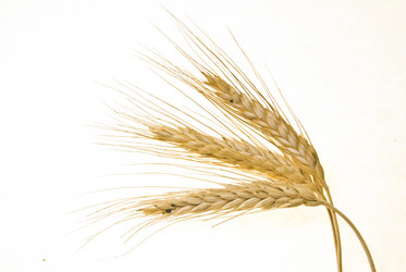 Similar image 8309455