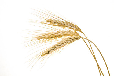 Similar image 8309456