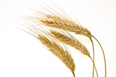 Similar image 8309457