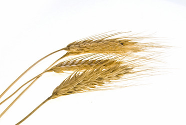 Similar image 8309459