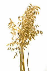 Similar image 8309461