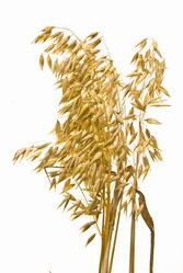 Similar image 8309462