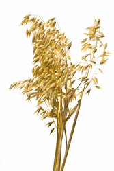 Similar image 8309463