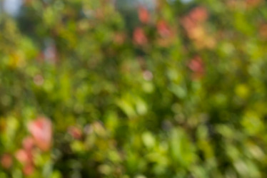 Similar image 8309632