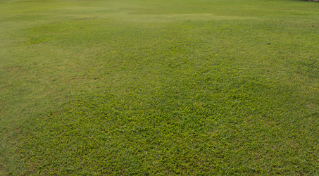 Similar image 8309633