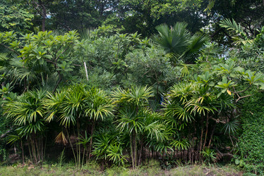 Similar image 8309634