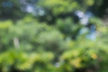 Similar image 8309635