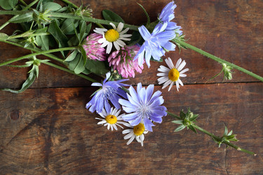 Similar image 8309644