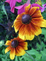 Similar image 8309647