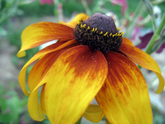 Similar image 8309648