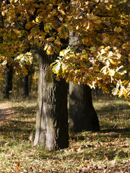 Similar image 8309659