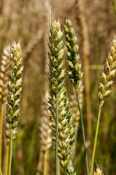 Similar image 8309669