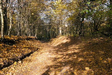 Similar image 8309672