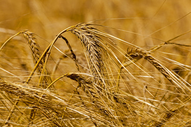 Similar image 8309674