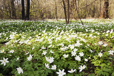 Similar image 8309676