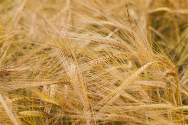 Similar image 8309684