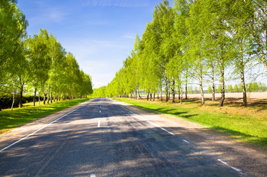 Similar image 8309699