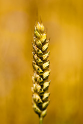 Similar image 8309701