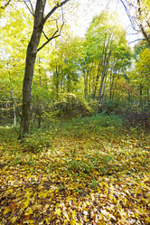 Similar image 8309708