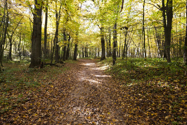 Similar image 8309709